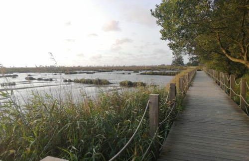 Casa da Balseira - Foto 7