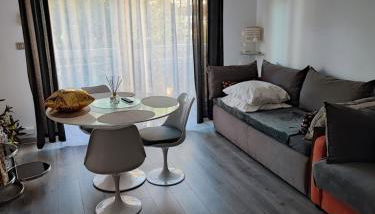 Studio 31 m² - Foto 3