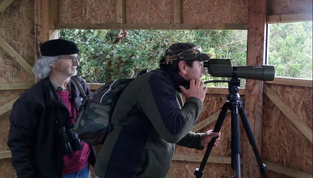 Trying to sight endemic birds