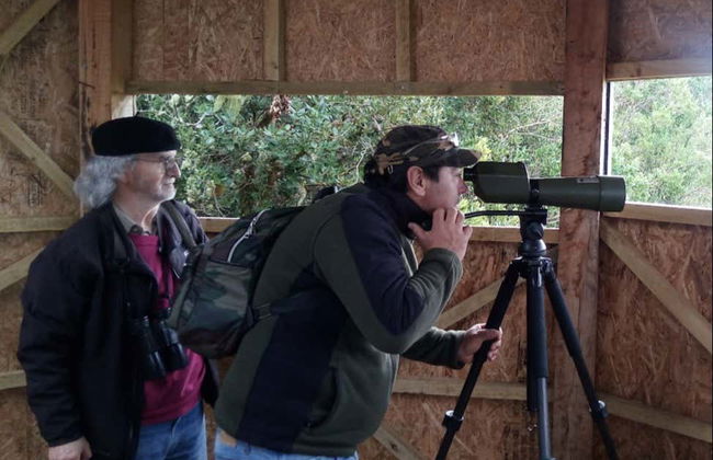 Birdwatching on the Carretera Austral - Foto 2
