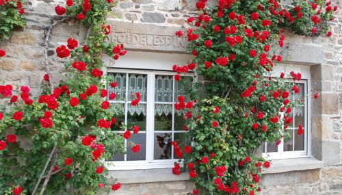 Gîte Ti ar Rozenn - Photo 4