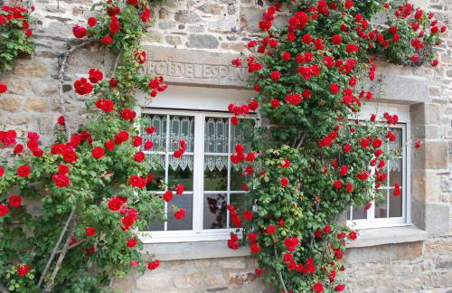 Gîte Ti ar Rozenn - Foto 4