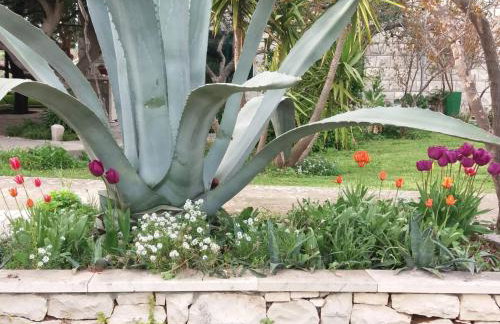 Apartments Franka - Photo 63