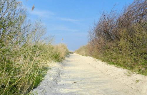 Fare Bambou - Foto 40