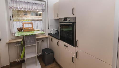 Ferienwohnung in dem schönen Kurort Bad Dürkheim - Foto 2, stove, pet friendly