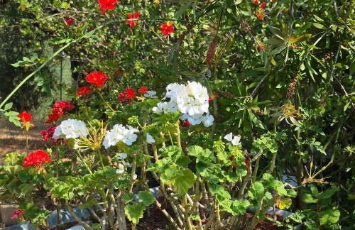 Tritsili house - Photo 71