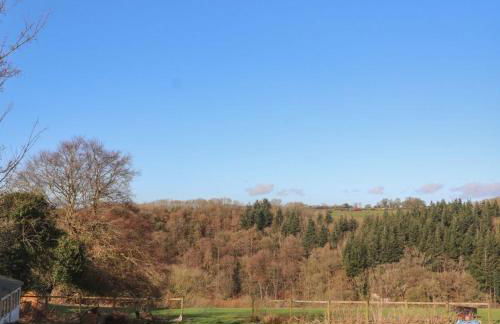 Northgate Cottage - Photo 10