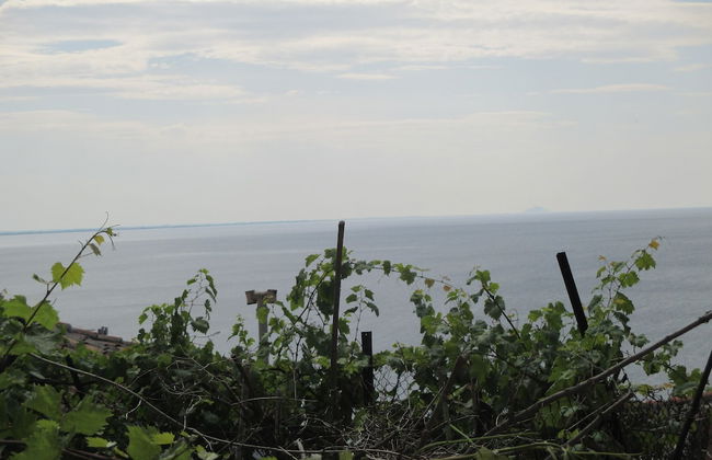 Castle Home Apartments - Foto 44