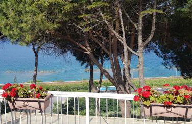 Villa Elvira Country House - Foto 10