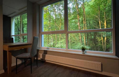 Apartament Kurort Kozubnik - Taras nad Potokiem - Foto 34