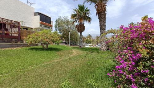 apartment tenerife south coast - Foto 5, Garden