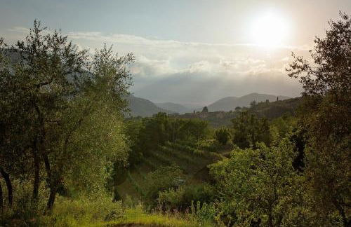 MULINO VECCHIO - Foto 32