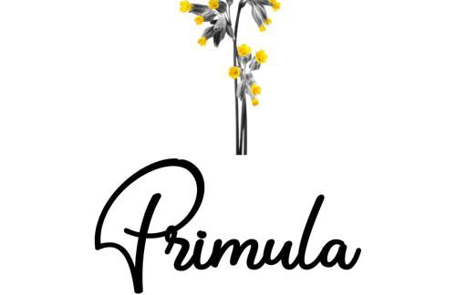 Primula - Photo 1