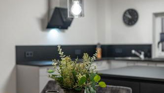 BPS Apartment #7 Luxury Penthouse - NEU - Deluxe - Modern - Foto 5, stove