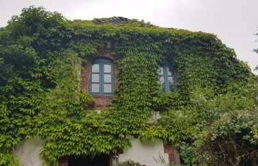 Gemütliche Ferienunterkunft am Meer - Foto 12