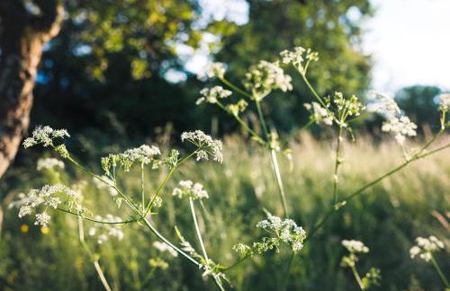 Gîte au calme avec jardin et wifi à Saint-Doulchard - FR-1-586-68 - Foto 21