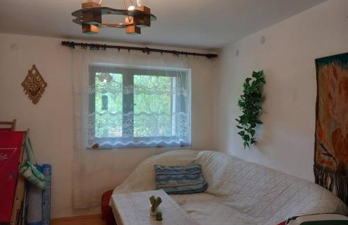 Cały dom Bezpośrednio nad jeziorem - Foto 4