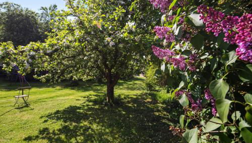 Ferienwohnungen große Albferien - Foto 2