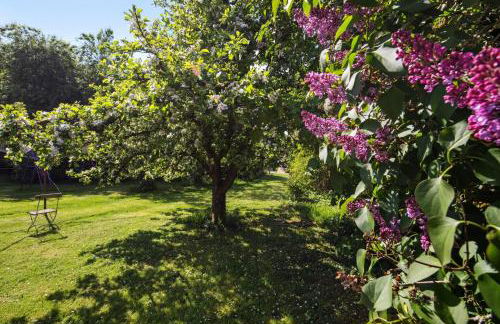 Ferienwohnungen große Albferien - Foto 2
