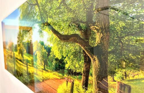 BIG Apartment for YOUR DREAM Vacation Bavarian Forest + NETFLIX - Foto 37