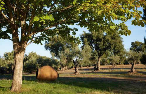 Finca El Azahar - Foto 83