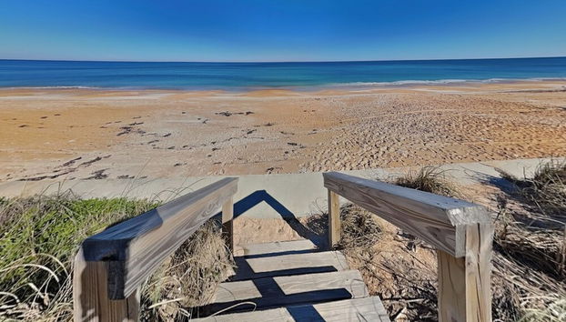 Sunshine House by Distinctive Beach Rentals - Foto 3, Servicios del alojamiento