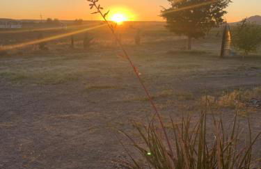 Southwestern Comfort Stay 2B - Foto 60