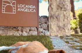 Locanda Angelica - Foto 13