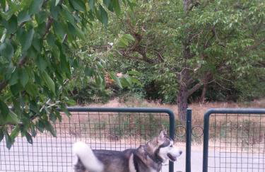 My Woodenfriend - Foto 25