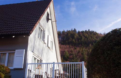 La Faya "Molerhüsli"- Gemütliches, gehobenes Ferienhaus in Muggenbrunn -Feldberg - Foto 23