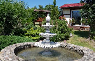 Agroturystyka u Kasi - Foto 40