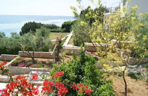 Apartmani Braco Caratan - Foto 78