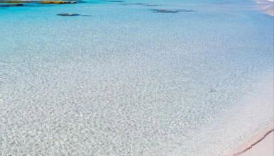 Apartamento en la playa con piscina - Foto 4