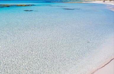 Apartamento en la playa con piscina - Foto 4