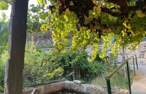 Quintinha de Pinouco - Foto 52