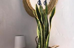 Casa Rural La Antigua - Foto 21