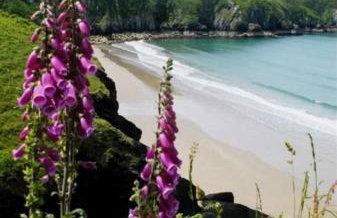 Cilgerran - cosy cottage - Foto 13