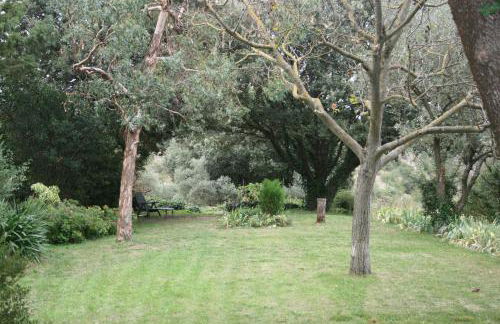 La Figalie - Foto 32