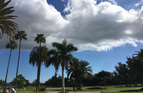 Meloneras ideal - Foto 39