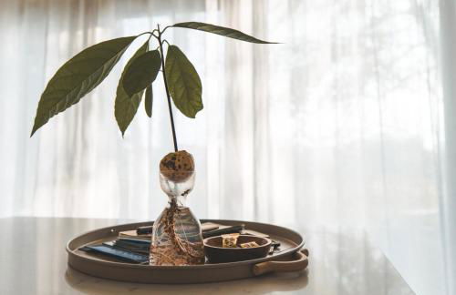 The Lodge Burniston - Foto 46