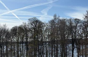 Park Vista - Foto 27