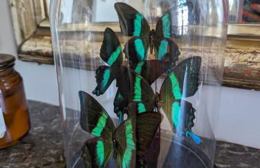 Appartement de charme sous les toits avec vue sur la Garonne - Foto 10