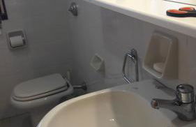 La gazza allegra - Foto 8