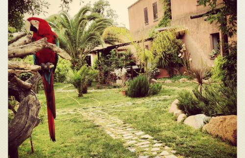 La Fattoria Delle Tartarughe - Foto 26