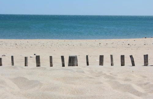 Château de la Motte - Entre Narbonne et le Canal du Midi - Foto 23