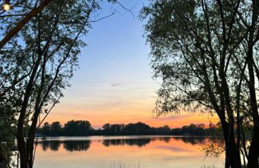 5 Chestnut Bay Lakeside Hideaway - Photo 7