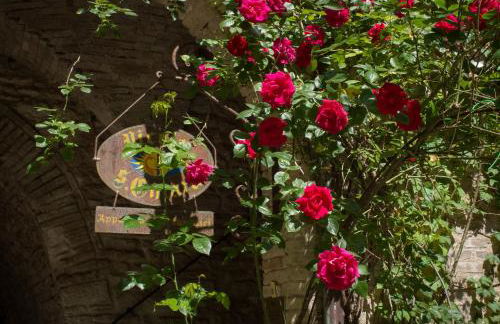 Appartamenti turistici Vicolo S. Chiara - Foto 25