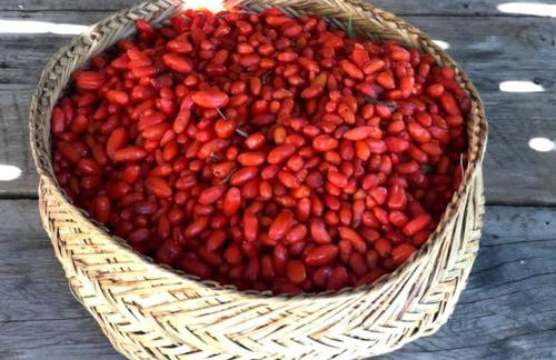 Rustic Log Cabin on Eco-Friendly Farm near Taos, New Mexico - Foto 38