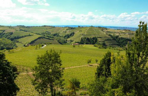 Cà ed Michel - Foto 10