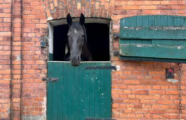 Stylish Loft Apartment on a Country Farm - Foto 13